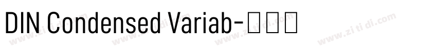 DIN Condensed Variab字体转换